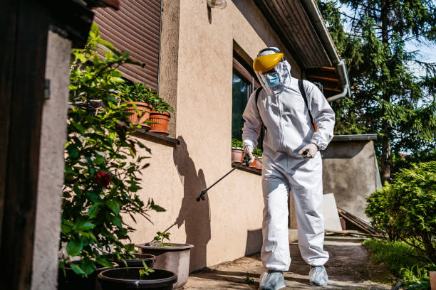Best Bed Bug Extermination  in Harrington, DE