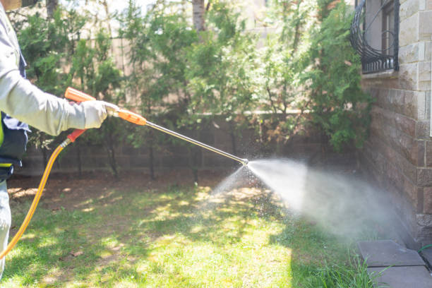 Pest Control for Restaurants in Harrington, DE