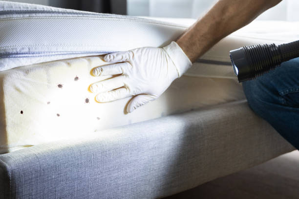 Best Pest Removal Services  in Harrington, DE
