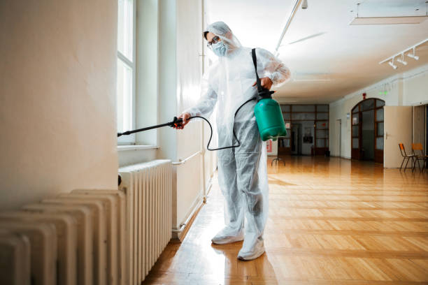 Best Termite Control Services  in Harrington, DE